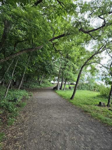 Ross Dock Playground 20250727 110052 005