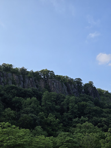 Ross Dock Playground 20250727 110057 010