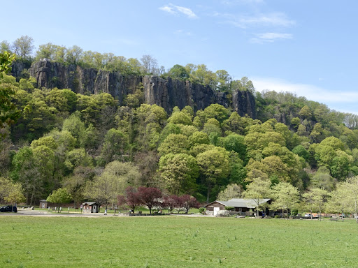 Ross Dock Playground 20250727 110107 018