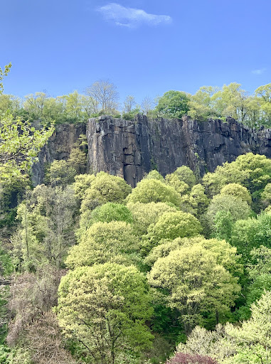 Ross Dock Playground 20250727 110108 019