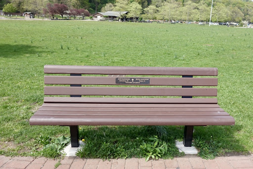 Ross Dock Playground 20250727 110109 020