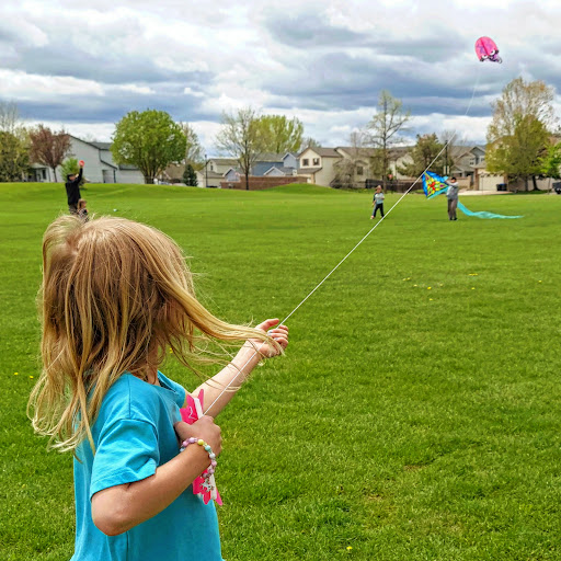 Rough Ready Park 20250727 033413 002