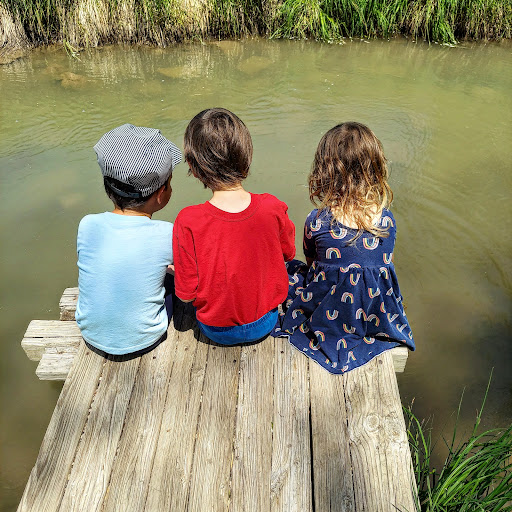 Rough Ready Park 20250727 033414 003