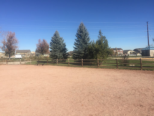 Rough Ready Park 20250727 033418 008