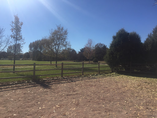 Rough Ready Park 20250727 033421 012