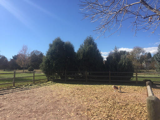 Rough Ready Park 20250727 033422 013