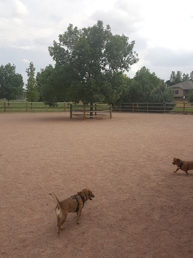 Rough Ready Park 20250727 033427 018