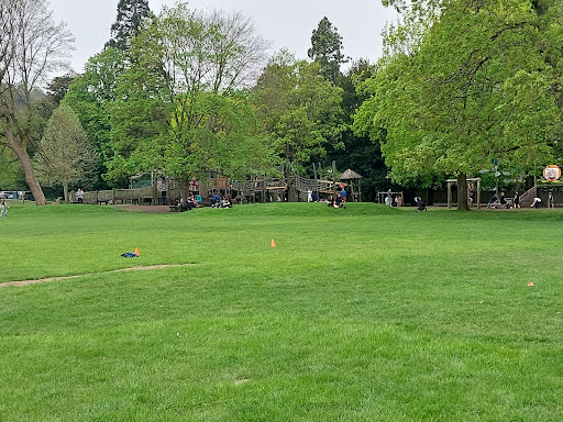 Rye Adventure Playground 20250808 184738 008