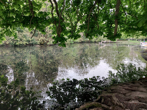 Rye Adventure Playground 20250808 184742 013