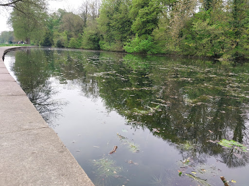 Rye Adventure Playground 20250808 184743 014