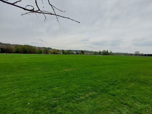 Rye Adventure Playground 20250808 184744 015