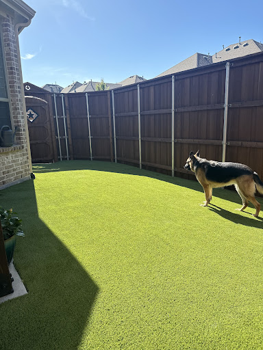 SYNLawn Texas 20250727 125427 007