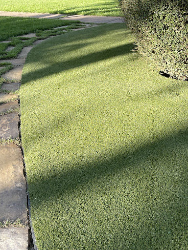 SYNLawn Texas 20250727 125432 012