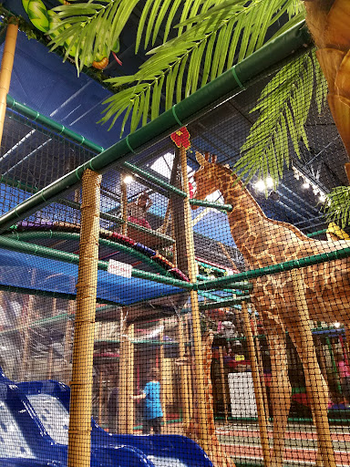 Safari Run Plano 20250726 201252 013