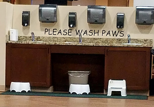 Safari Run Plano 20250726 201252 014