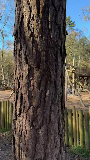 Sandringham Childrens Play Area 20250808 171406 002