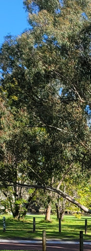 Sandy Beach Reserve Playground 20250824 020356 006