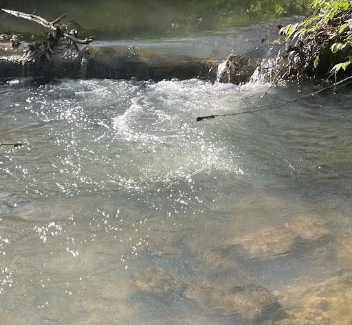 Sandy Springs Park 20250726 222059 001