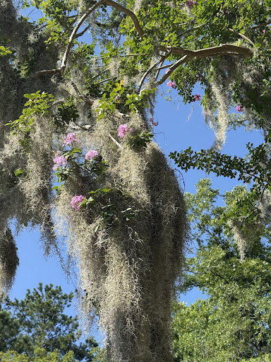 Saul Alexander Playground 20250726 195822 003