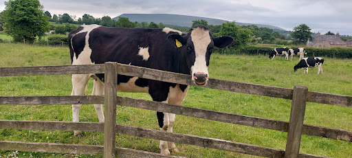 Sawley Playground 20250808 160733 001