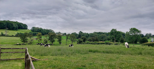 Sawley Playground 20250808 160735 004