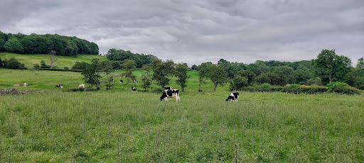Sawley Playground 20250808 160736 005