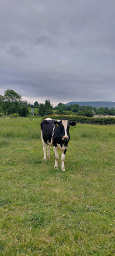 Sawley Playground 20250808 160737 006