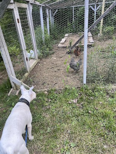 Searsport Shores Ocean Campground 20250727 075307 003