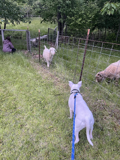 Searsport Shores Ocean Campground 20250727 075308 004