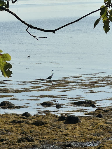Searsport Shores Ocean Campground 20250727 075311 007