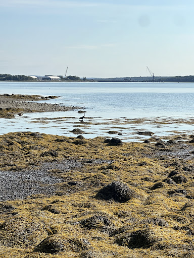 Searsport Shores Ocean Campground 20250727 075311 008