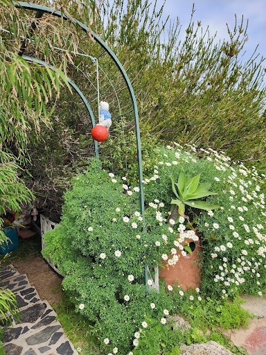 Secret Gnome Garden 20250824 022006 010