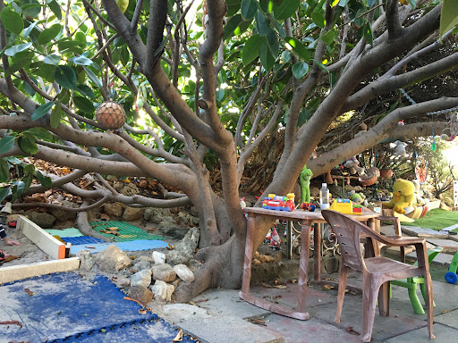 Secret Gnome Garden 20250824 022010 014