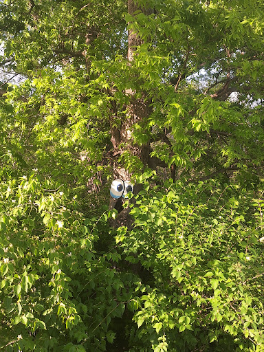 Sedgwick County Park 20250726 235503 006