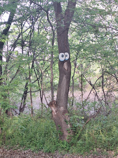 Sedgwick County Park 20250726 235504 007