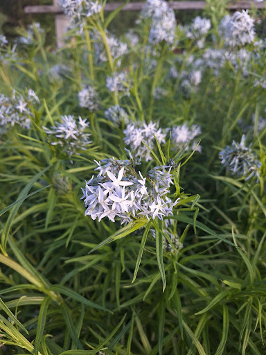 Sedgwick County Park 20250726 235505 008