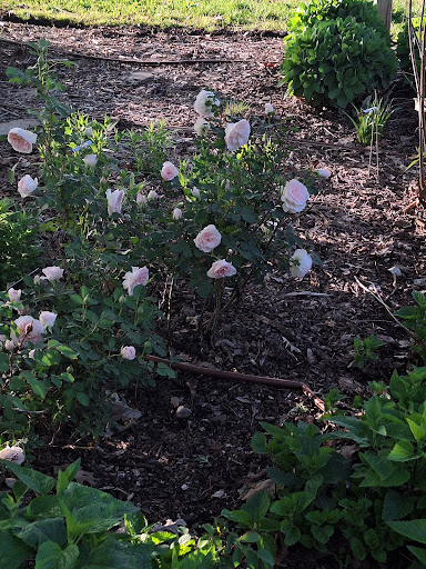 Sedgwick County Park 20250726 235506 009