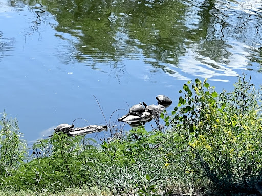 Sedgwick County Park 20250726 235507 010