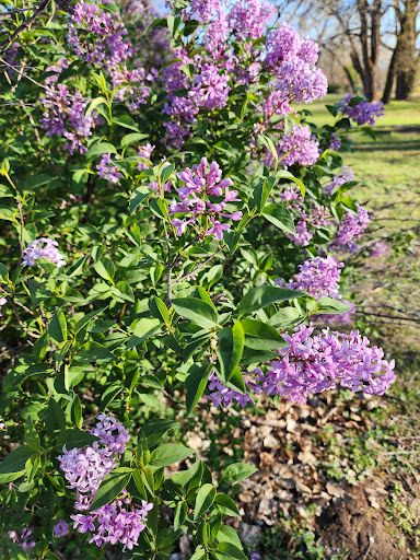 Sedgwick County Park 20250726 235512 017