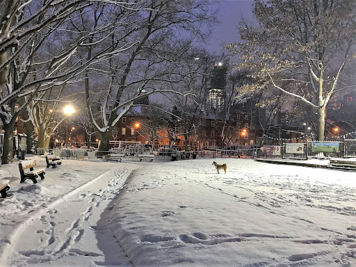 Seger Dog Park 20250727 101239 002