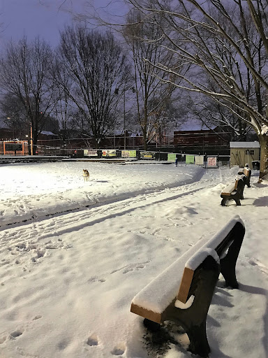 Seger Dog Park 20250727 101240 003