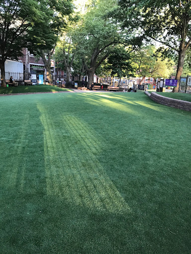 Seger Dog Park 20250727 101241 004