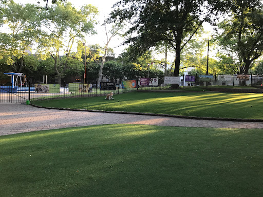 Seger Dog Park 20250727 101241 005