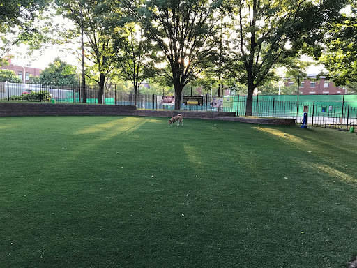 Seger Dog Park 20250727 101242 006