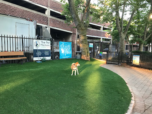 Seger Dog Park 20250727 101243 007