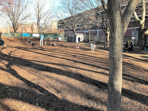 Seger Dog Park 20250727 101244 008