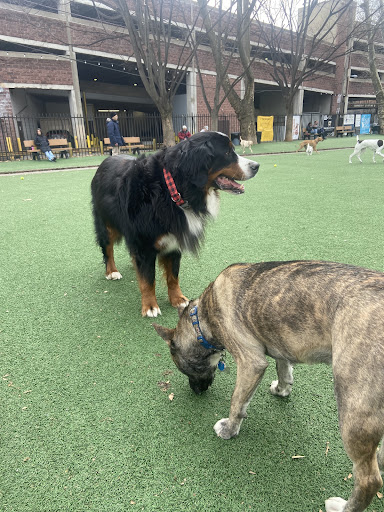 Seger Dog Park 20250727 101252 016