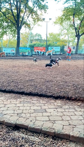 Seger Dog Park 20250727 101253 017
