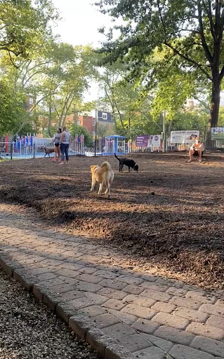 Seger Dog Park 20250727 101254 018