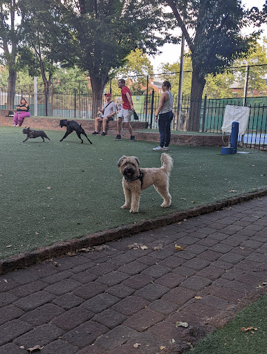 Seger Dog Park 20250727 101256 020